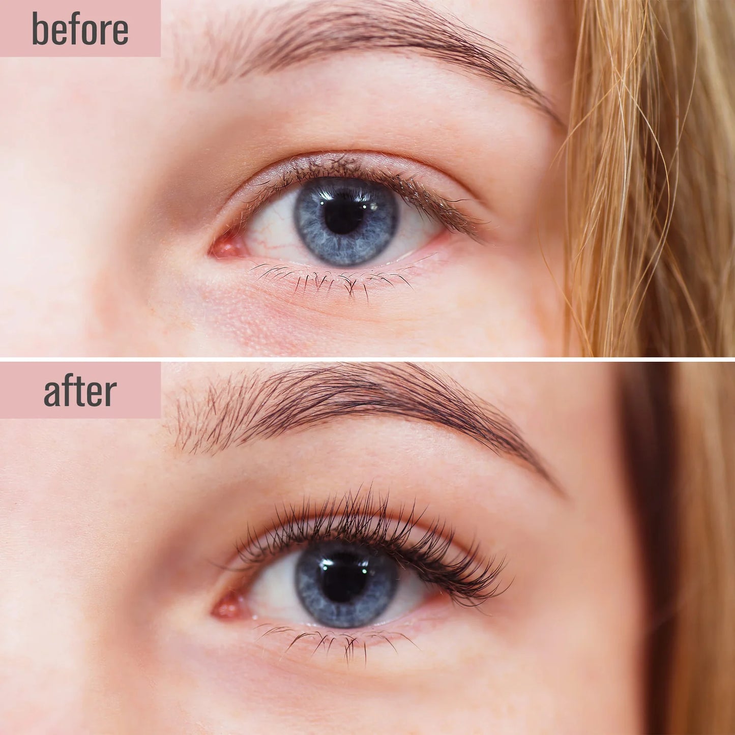 UltraVolume Lashes